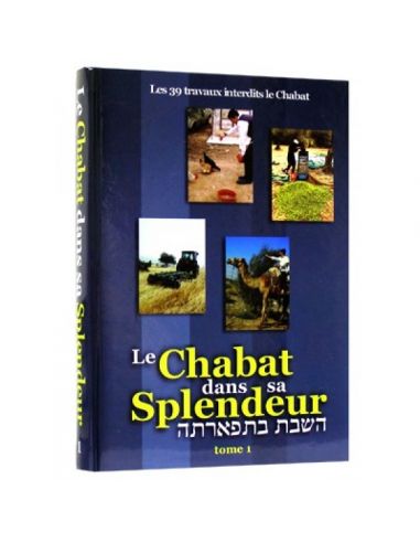 Chabbat dans sa splendeur 2 volumes