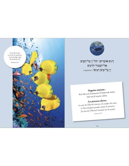 Perek ChiraHebreu Francaais Phonétique