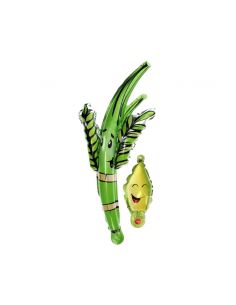 Ballon pour Loulav et étrog