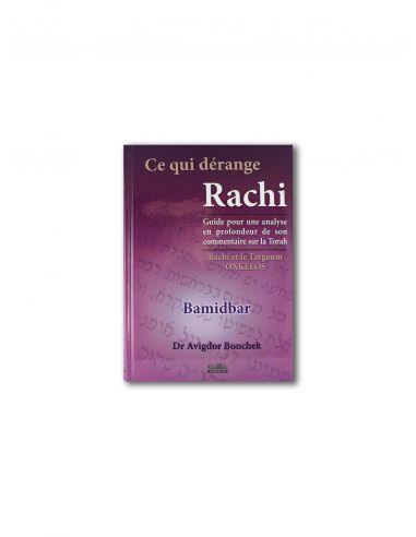 Ce qui dérange Rachi Bamidbar