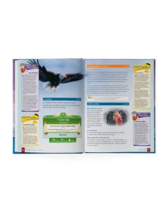 Yahadout Séfér Ahava 2