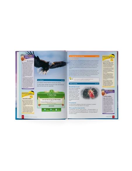 Yahadout Séfér Ahava