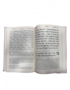 Tehilim Le livre des psaumes grand formatHébreu Français phonétique 2