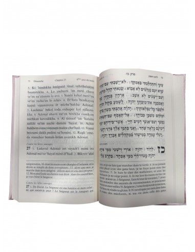 Tehilim   Le livre des psaumes grand...