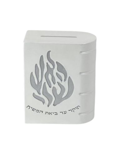 Boîte de tsédaka en acrylique blanc argenté – Breslove