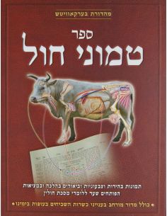 Sefer Temouné Hol