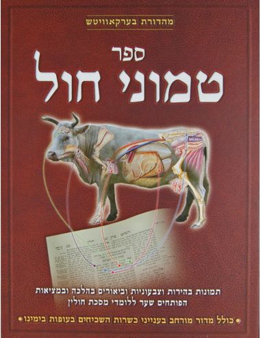 Sefer Temouné Hol