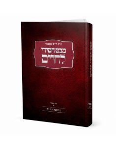 Mabet 'Hassidi la'haim Volume 1