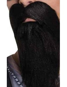 Fausse barbe noire (longue...